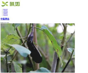 Xiaoru.com(生活健康资讯网) Screenshot