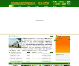Xiguawang.cn(西瓜苗) Screenshot