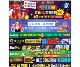 Xinandianqi.com(山东省无棣县信安电器有限公司) Screenshot