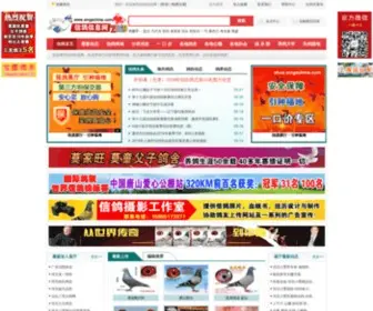 Xingechina.com(信中网) Screenshot