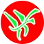 Xingnings.cn Logo