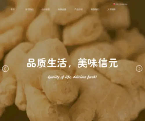 Xinyuan-Food.com(信元网站) Screenshot