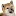 柴犬しつけ.com Favicon