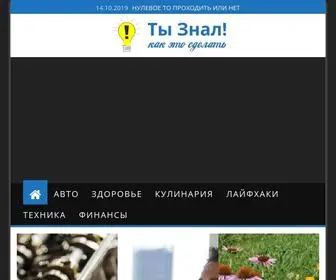 тызнал.рф(Ты Знал) Screenshot