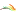 Oñacoelho.com Favicon
