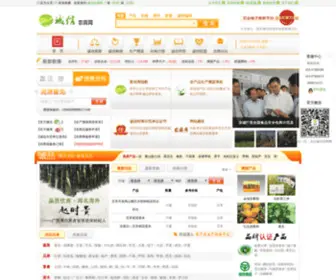 XNS315.com(诚信农商网) Screenshot