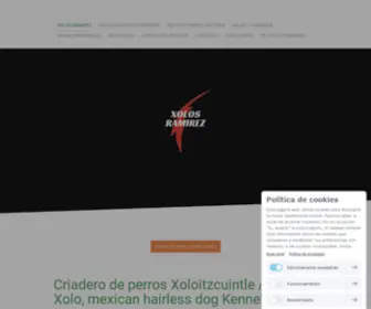 Xolosramirez.com(El mejor Criadero de perros Xoloitzcuintles Somos Xolos Ramirez) Screenshot