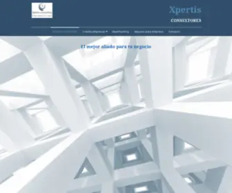 Xpertisconsulting.net(Xpertis Consultores) Screenshot