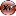 Xplasersport.com Favicon