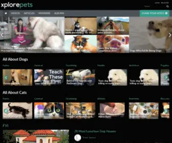 Xplorepets.com(Pet Videos) Screenshot