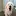 Xuankanglin.com Favicon