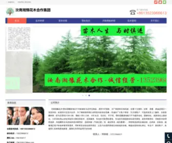 Xuesongtree.com(河南雪松) Screenshot