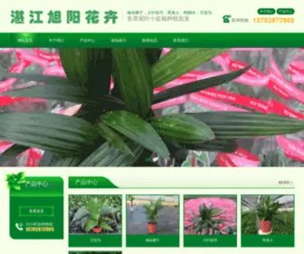 Xuyangplant.com(湛江旭阳花卉) Screenshot