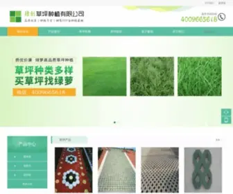 Xyaxf.com(人造草坪) Screenshot