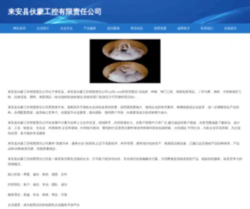 XYDFLC.com(「襄阳东方凌辰汽车贸易有限公司」) Screenshot