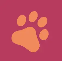 Xypettoys.com Favicon