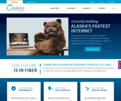 XYZ.net(Alaska Communications Systems) Screenshot