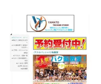 Y-OOguchi-Acrobat.com(Y OOguchi Acrobat) Screenshot