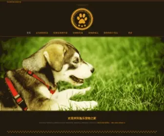 Y6Web.cn(逸乐宠物之家) Screenshot