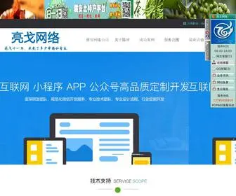 Yaanidc.com(雅安网络公司) Screenshot