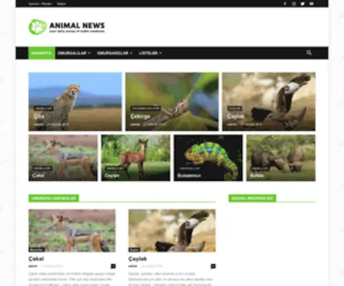 Yabanihayvanlar.com(Yabani Hayvanlar) Screenshot