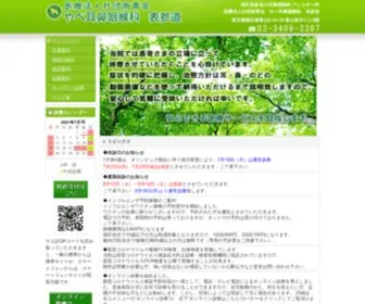 Yabe-3387.com(南青山) Screenshot