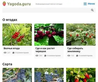 Yagoda.guru(Все что вы хотели знать про ягоды) Screenshot