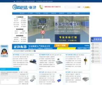 Yajinsh.com(上海亚津电子科技有限公司) Screenshot