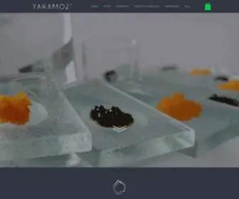 Yakamozglass.com(Yakamoz Glass Works Yakamoz Cam) Screenshot