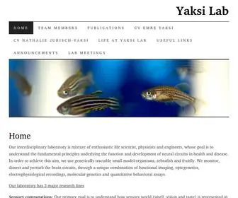 Yaksilab.com(Our interdisciplinary laboratory) Screenshot