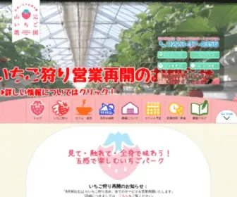 Yamamoto-Ichigo.com(いちご) Screenshot