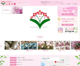 Yamamotoyouran.co.jp(有限会社 山本洋蘭　熊本から全国へ洋蘭を) Screenshot