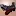 Yamato.info Favicon