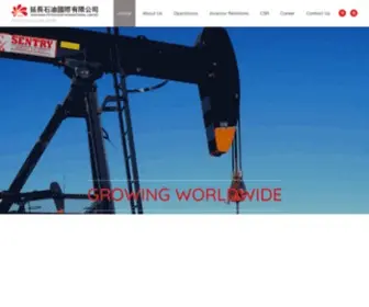 Yanchanginternational.com(This is a default index page for a new domain) Screenshot