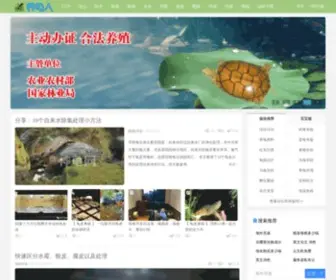 Yangguiren.com(家庭养龟) Screenshot
