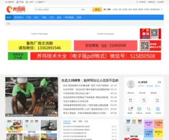 Yangji.com(养鸡网) Screenshot