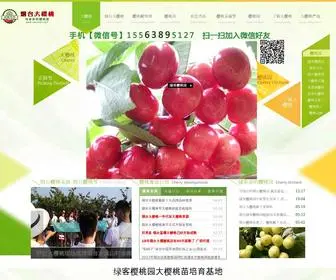 Yantaidyt.com(大樱桃) Screenshot