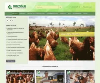 Yarkaburada.com(Tavuk satışı) Screenshot