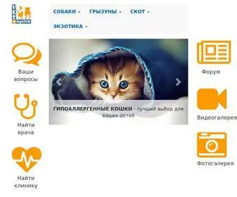 Yarus-SPB.ru(Все про домашних животных и птиц) Screenshot