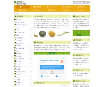 Yasainavi.com(野菜ナビ) Screenshot