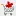 Yasee.net Favicon