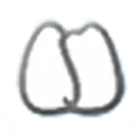 Yashima-Dental.org Favicon