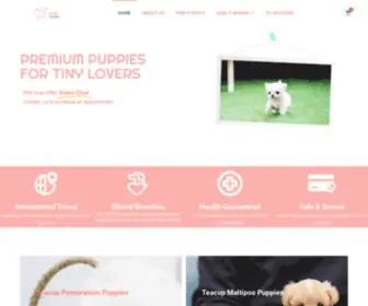 Yaspuppies.com(Only the BEST TEACUP PUPPIES for Sale) Screenshot