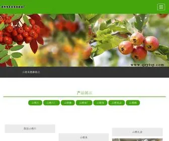 Yataishipin.com(青州市王坟亚太食品厂主要产品包括) Screenshot