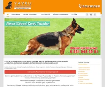 Yavrukopekci.com(Satılık) Screenshot