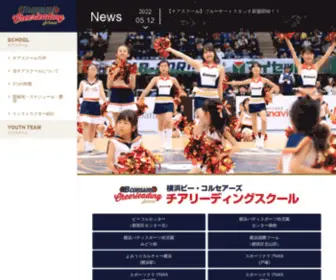 YBCcheer.com(YBCcheer) Screenshot