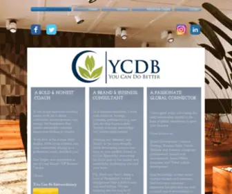 YCDB.info(YCDB, Inc) Screenshot
