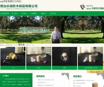 YDYL123.com(Ag环亚集团网站) Screenshot