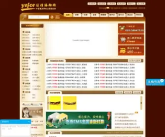 Yefor.cn(海柳烟嘴) Screenshot