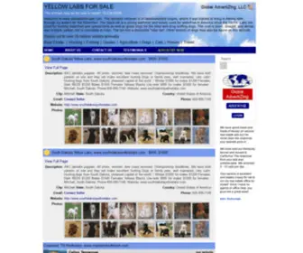 Yellowlabforsale.com(Yellow Lab For Sale) Screenshot